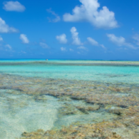 Spongbob beach